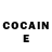 Cocaine Fish Scale Garry Ciboney