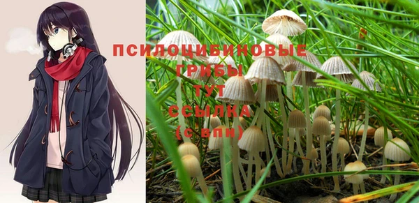 винт Алзамай