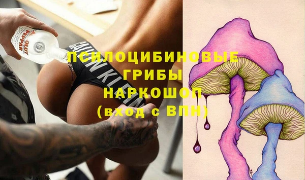 винт Алзамай